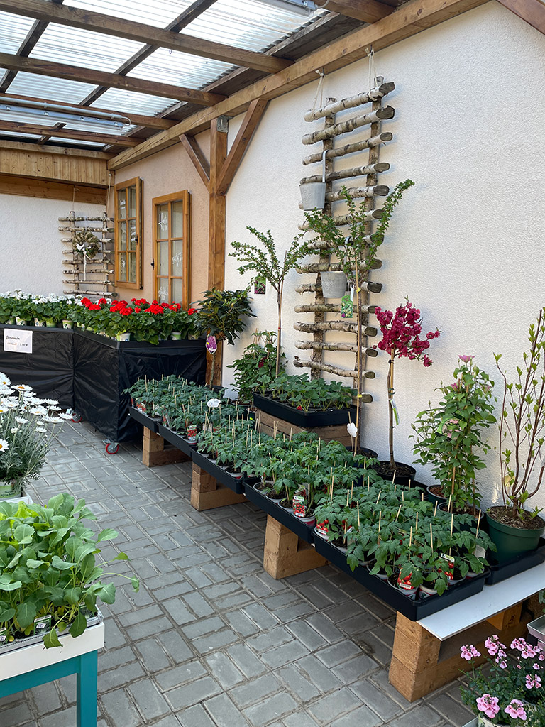 gaertnerei_pradelt_3